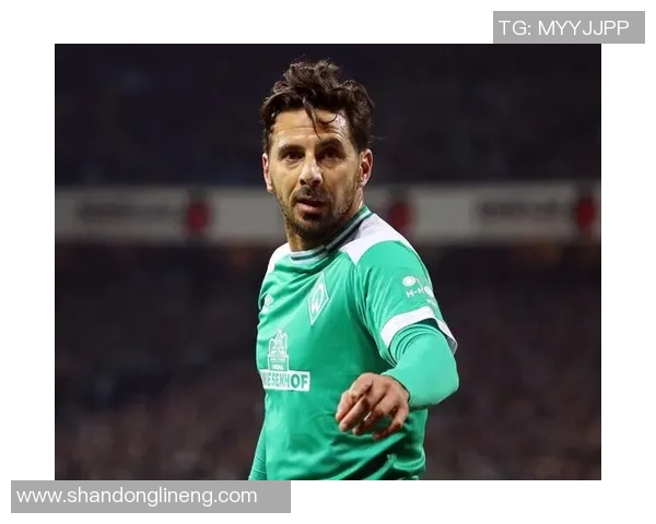 秘鲁历史上最具影响力的足球明星盘点与成就回顾