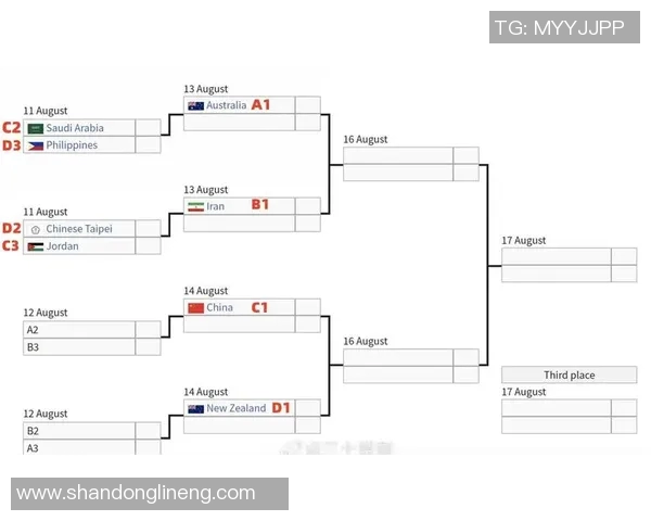 2013亚锦赛中国男篮对阵伊朗队精彩回顾与赛后分析